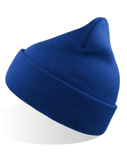 ReNew Wind Cap